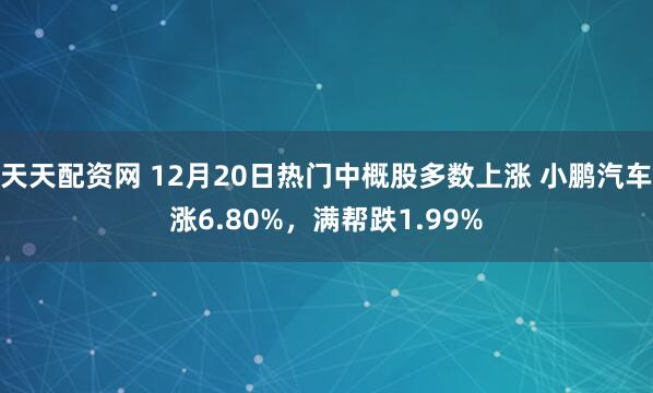 天天配资网 12月20日热门中概股多数上涨 小鹏汽车涨6.80%，满帮跌1.99%